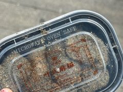 -叶氏麻糍(鼓浪屿店)