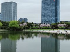 -大宁公园