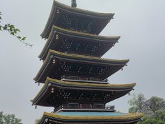 -东湖生态旅游风景区