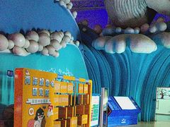 -烟台海昌鲸鲨海洋公园
