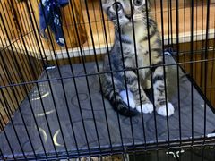 -恩你小木屋·烤肉韩式料理(嘉兴秀洲店)