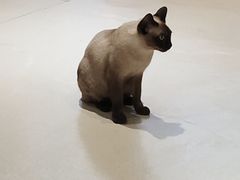 -藏猫猫咖啡主题馆(中央大道店)