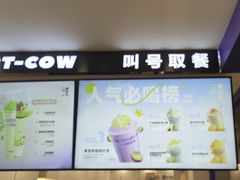 -一只酸奶牛(洪崖洞11楼店)