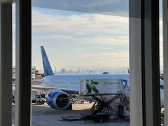 -纽瓦克自由国际机场