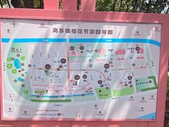 -高东镇樱花园