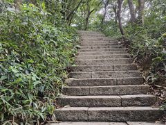 -梧桐山风景名胜区