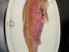 -吴记富苑(朝阳店)