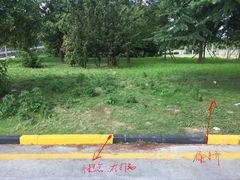 -胜华驾校·小猫学车(银都店)