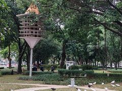 -顺峰山公园