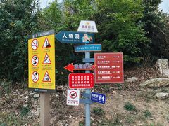 -杨梅坑
