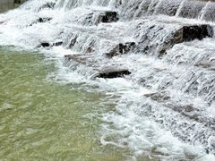 -上南瓦煲鸡·清远鸡·老字号(总店)