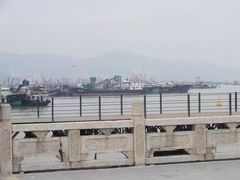 -野狸岛