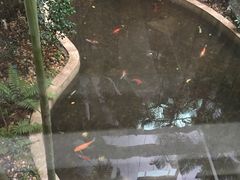 -广州白云机场雅高铂尔曼大酒店