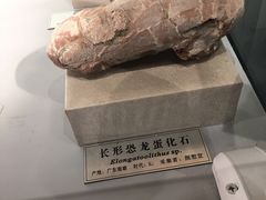 -中国地质大学逸夫博物馆