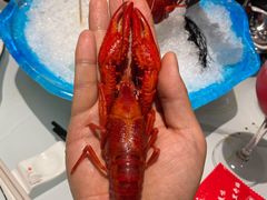 -虾佬圣汤·海鲜姿造(乐堤港店)