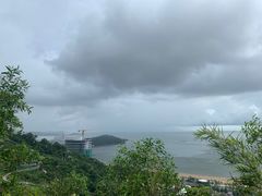 -板樟山森林公园