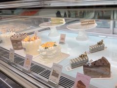 -TD66高山铁皮石斛养生茶饮