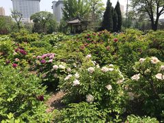 -迎泽公园