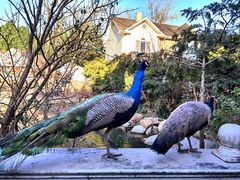 -金庭庄园酒店-停车场