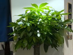 -壹零捌道·北京烤鸭(车公庄店)