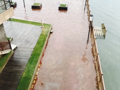 -千岛湖品鱼馆(钓鱼岛店)