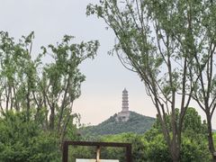 -北坞公园