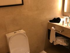 -成都安仁福朋喜来登酒店