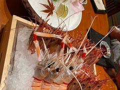 -月龍吟(朝龙汇店)