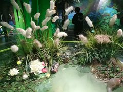 -佛山科学馆