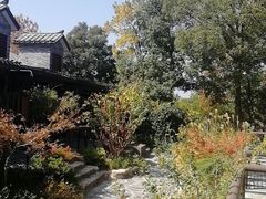 -黄陂区野村谷景区