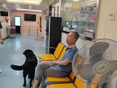 -动物缘宠物医院·骨科·猫科(西二环店)