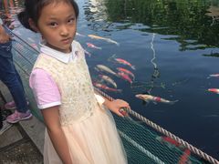 -湖鲜楼