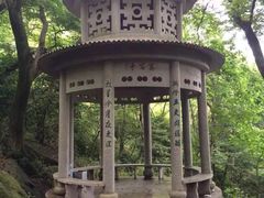 -北仑森林植物园