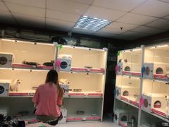 -lincat·猫舍(广州店)