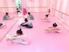 -桃子公主舞蹈培训(万柳校区)
