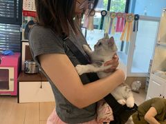 -青石桥花鸟鱼虫市场(叠翠城店)