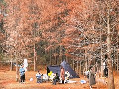 -青龙山国家森林公园