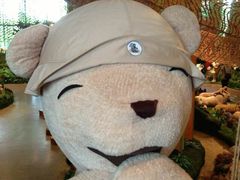 -济州岛泰迪熊博物馆