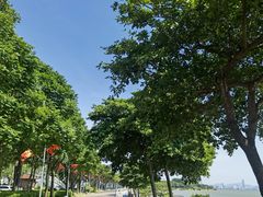 -深圳湾公园(南山区)