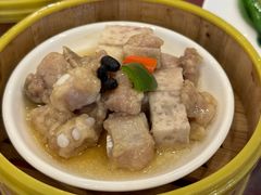 -一煲鸽