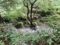 -藏龙百瀑风景区