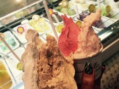 -柠檬车露(卖草地店)