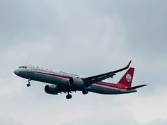 -空港花田景区