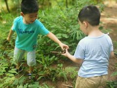 -铁山坪森林公园