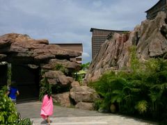 -三亚湾红树林度假世界(木棉酒店)