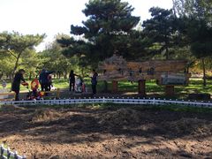 -长春公园(普阳街道)