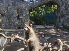 -宁波野生动物园