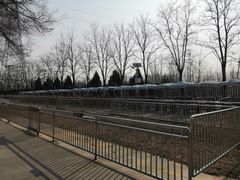 -永定河休闲森林公园