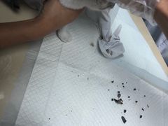 -美联众合动物医院(·中兽医·疑难杂症·严家桥分院)