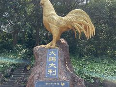 -海口火山口国家地质公园
